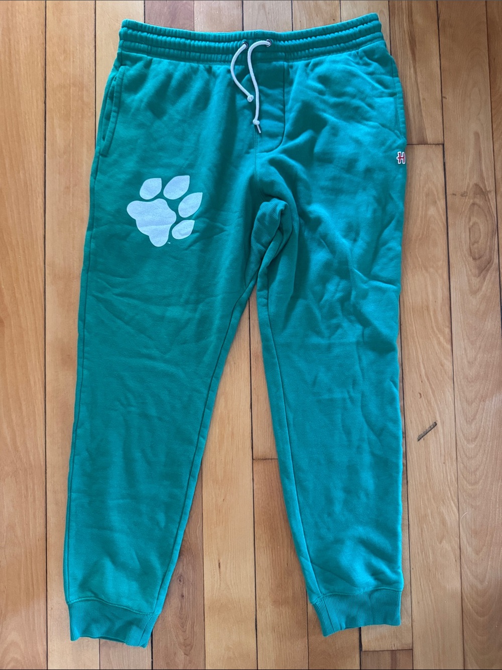 HOMAGE Teal Jogger Sweatpants with White Paw Print
